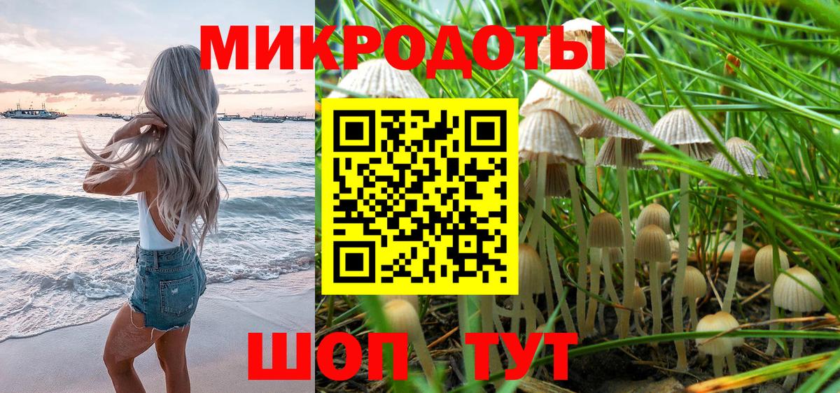 Новоуральск  Псилоцибиновые грибы Cubensis  Вход с VPN 