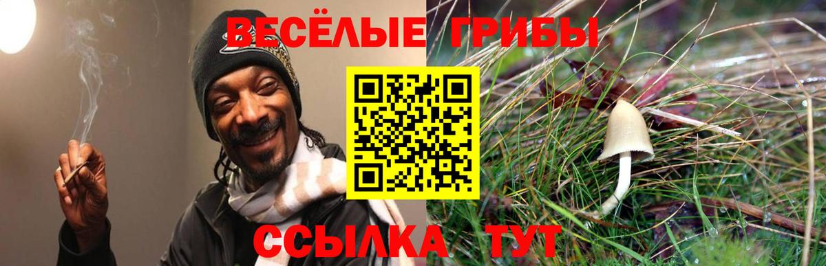 Псилоцибиновые грибы мухоморы Новоуральск